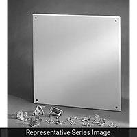 2CWBP36 Electrical Enclosure Accessories
